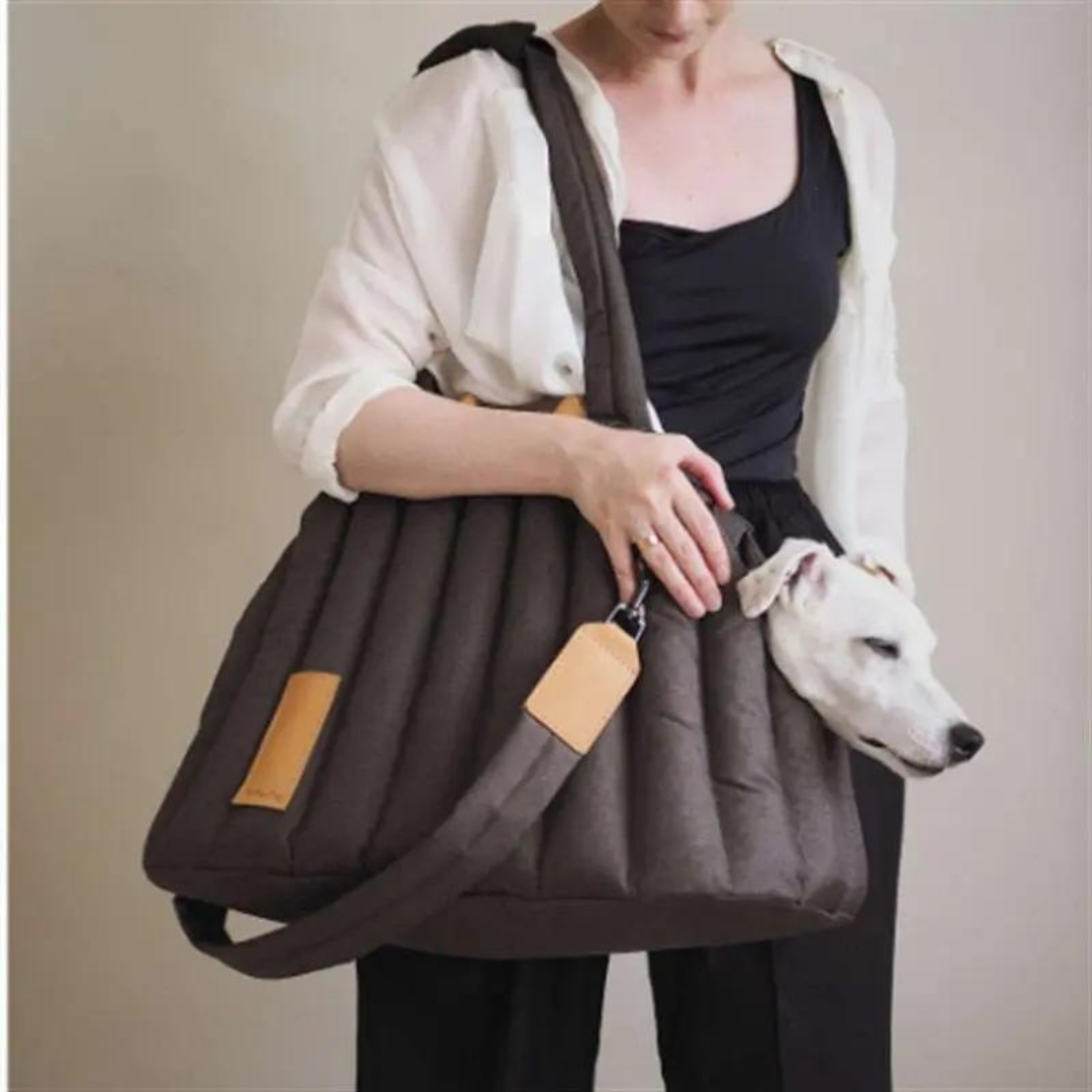 Shell Ultra-Light Pet Bag