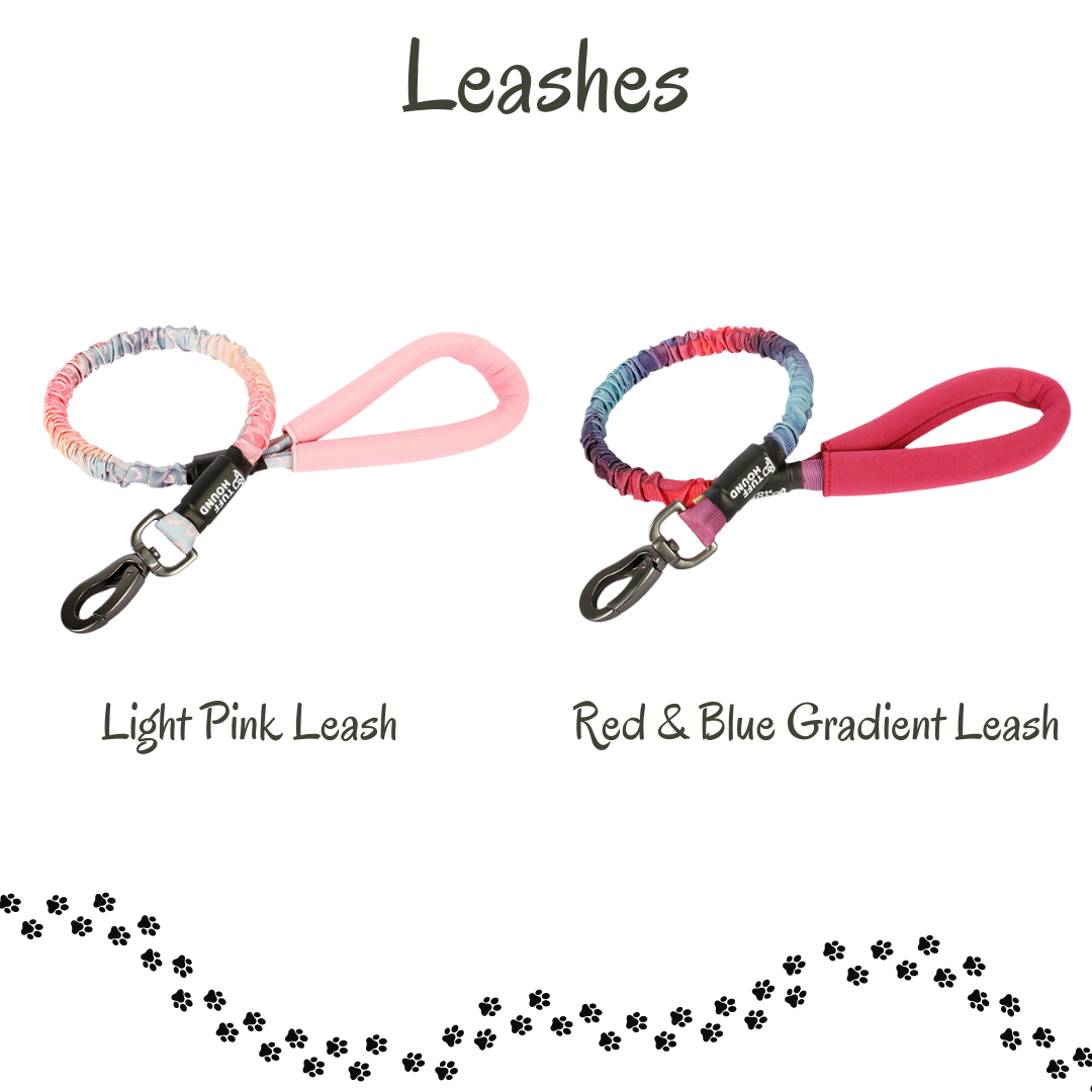 Tuff Hound Collar and Leash Collection