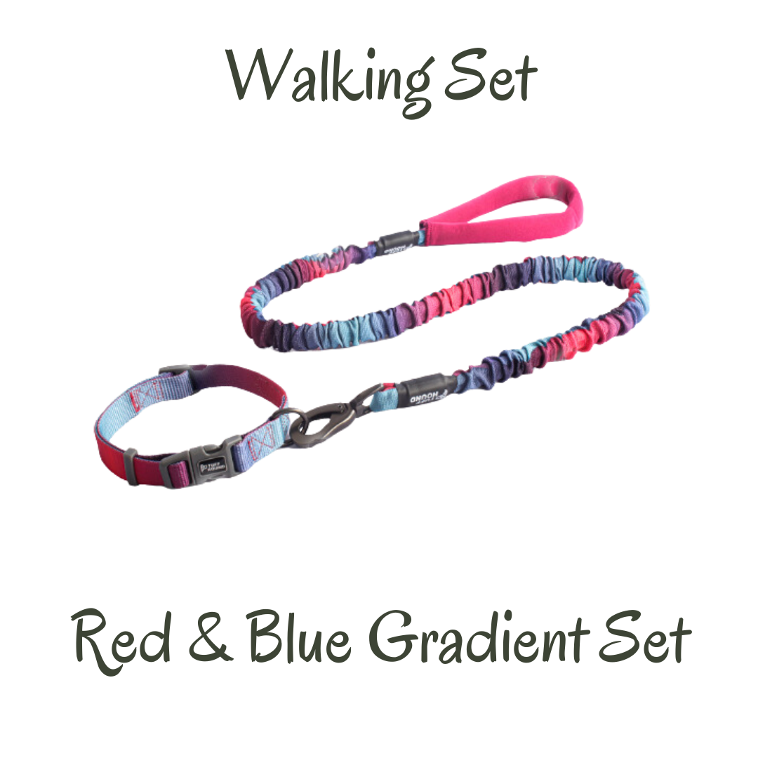 Tuff Hound Collar and Leash Collection