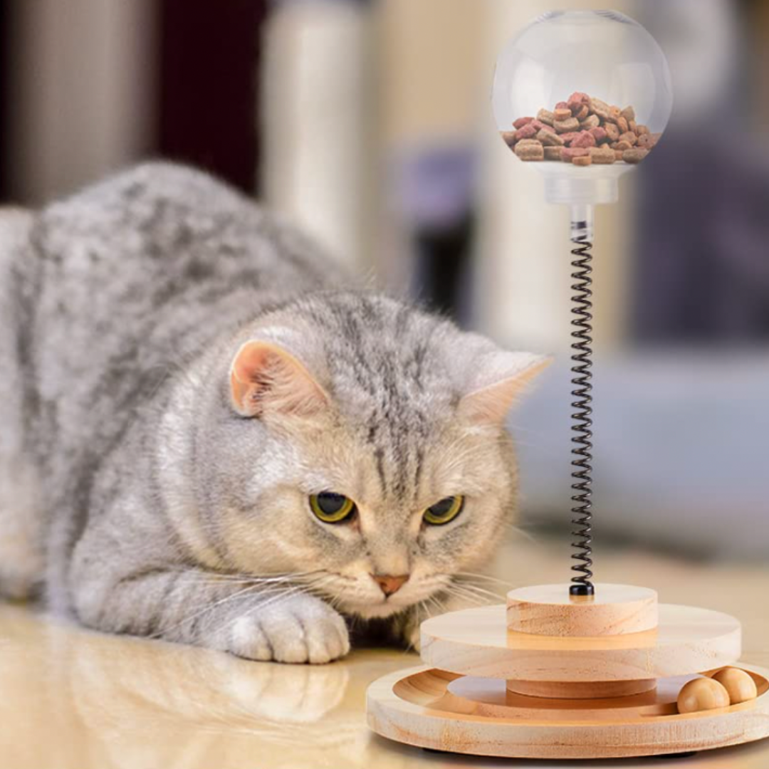 Cat Toy Treat Dispenser