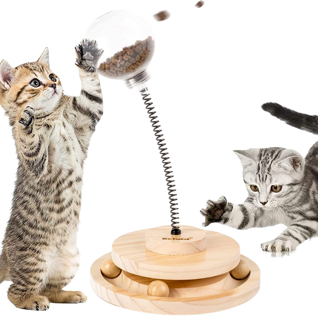 Cat Toy Treat Dispenser