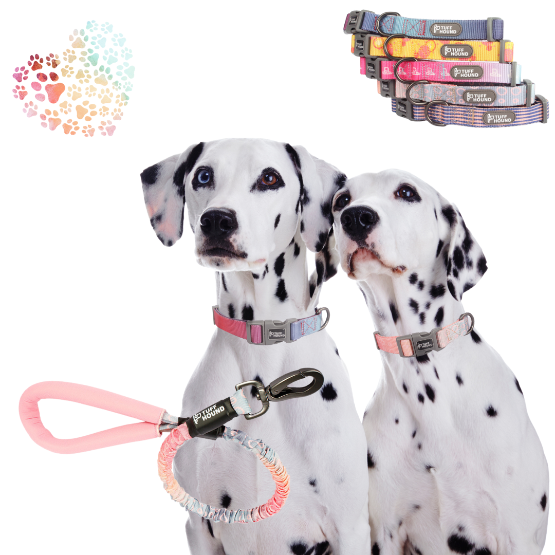 Tuff Hound Collar and Leash Collection