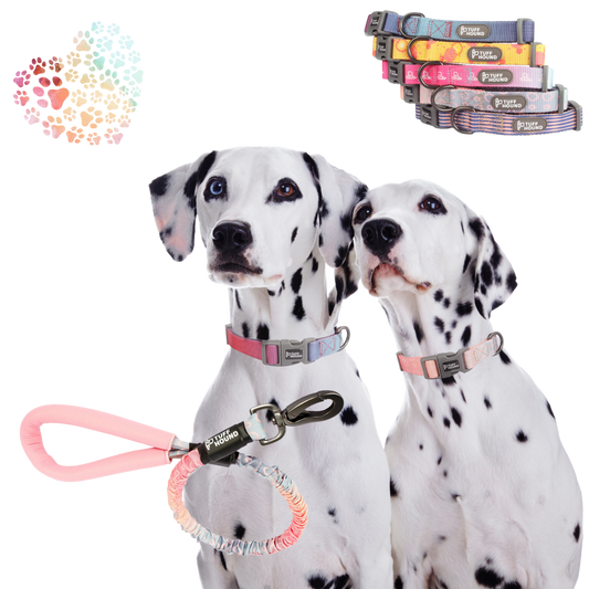 Tuff Hound Collar and Leash Collection