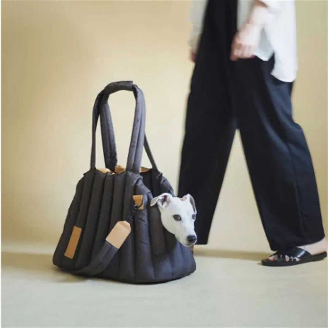 Shell Ultra-Light Pet Bag