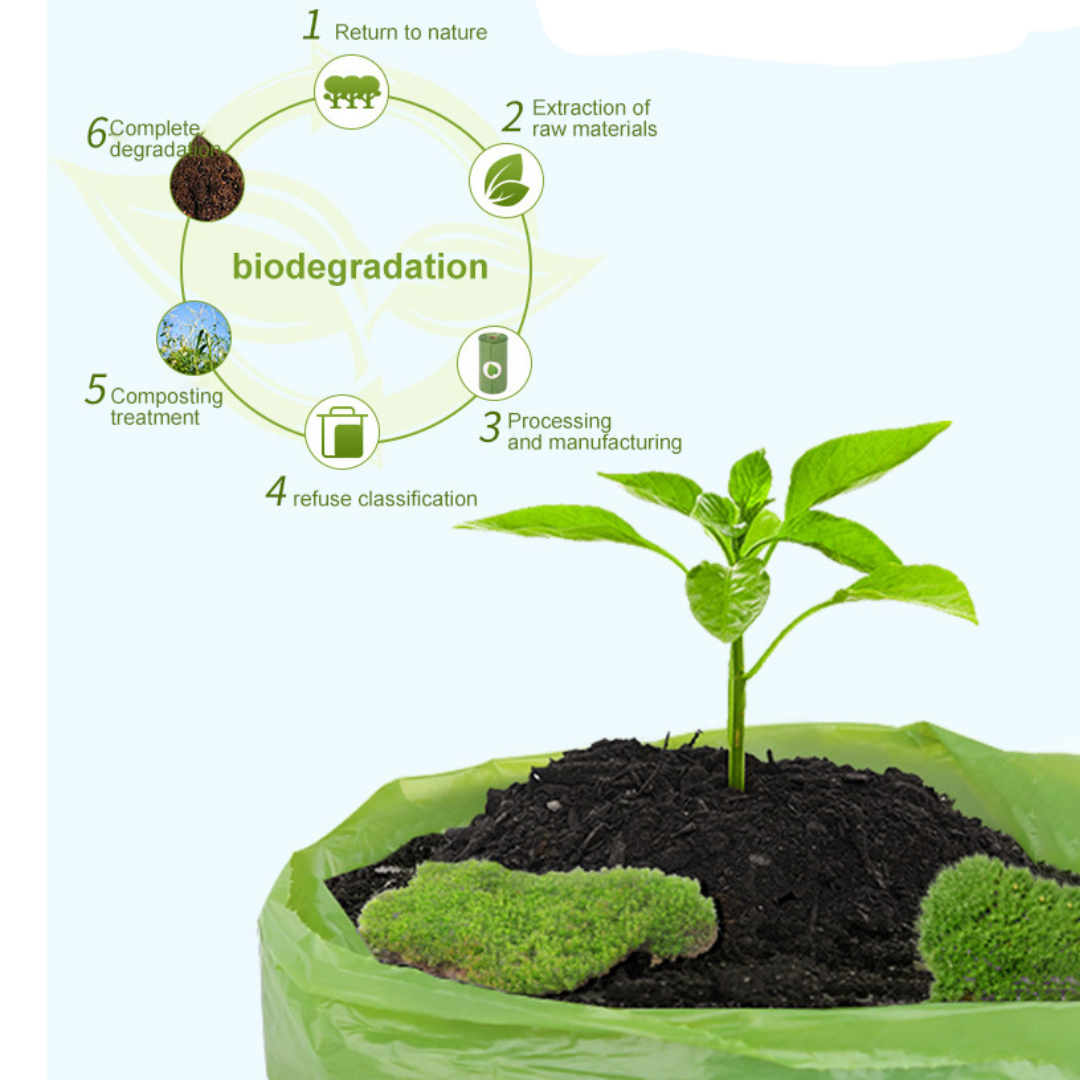 EcoCare Pet Waste Solution