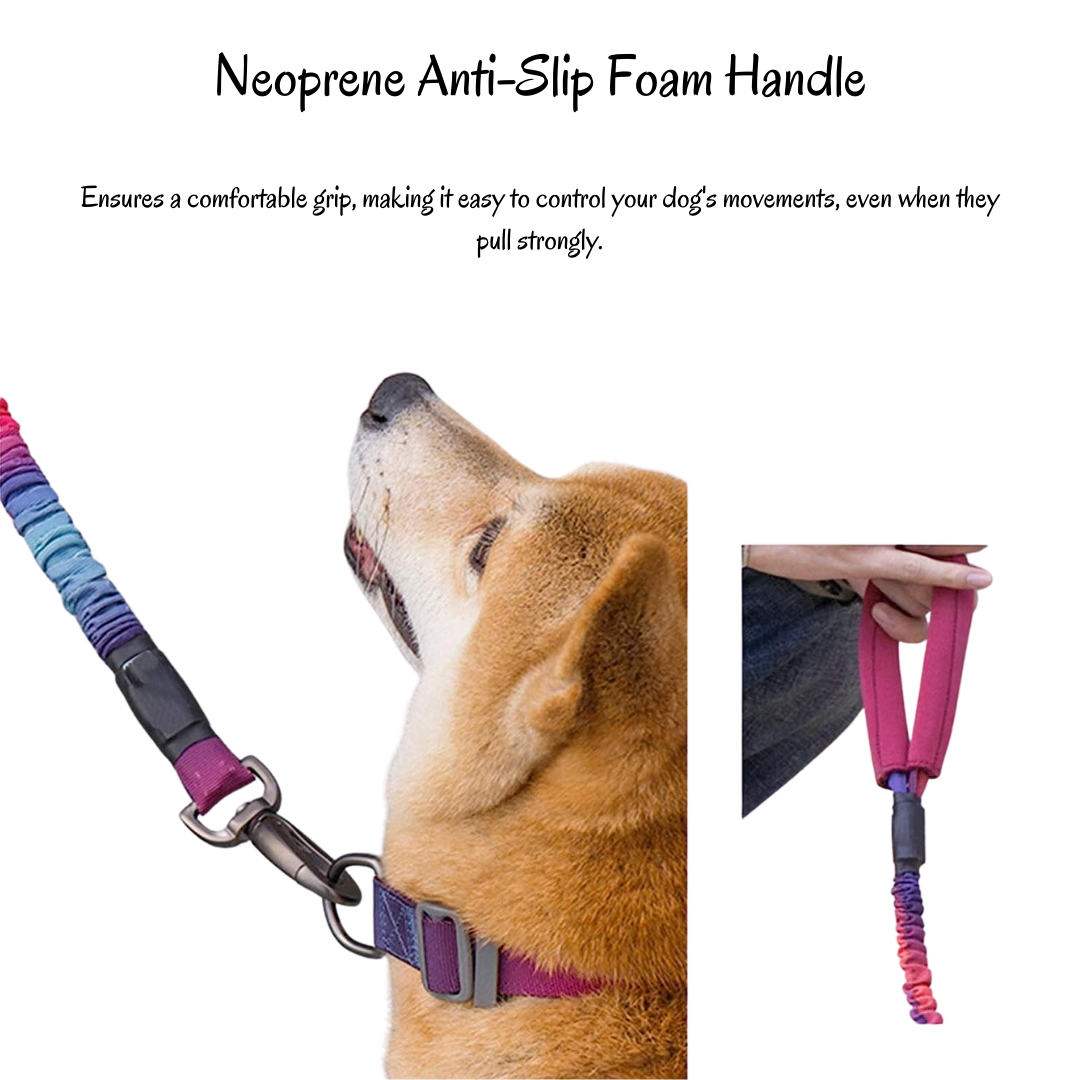 Tuff Hound Collar and Leash Collection