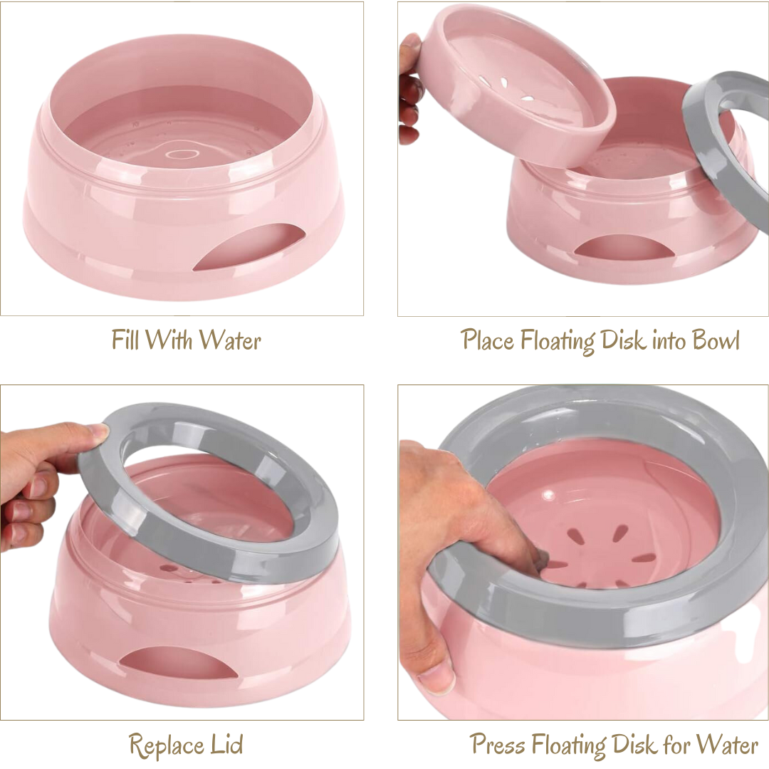 DripControl Hydration Station
