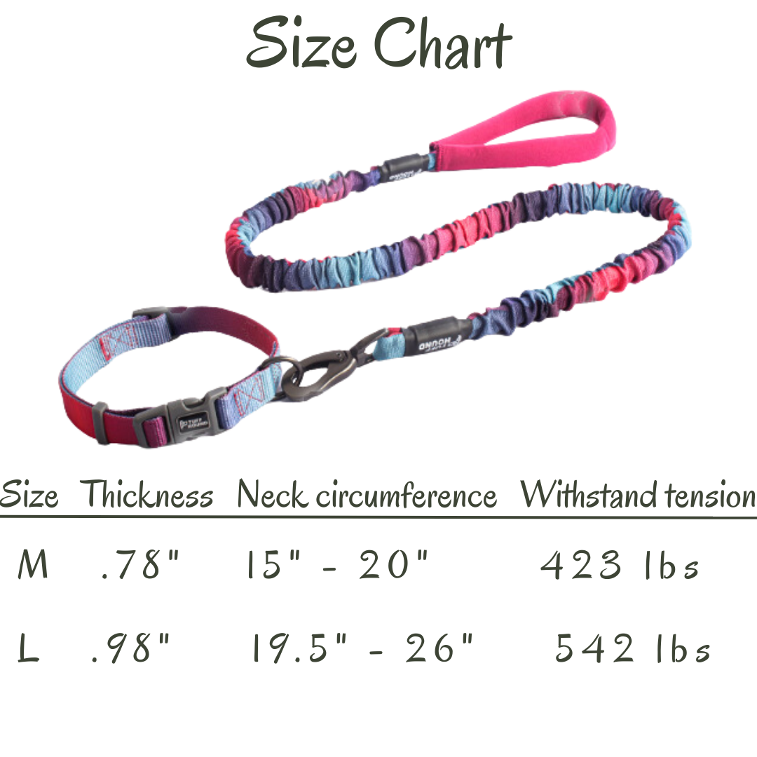 Tuff Hound Collar and Leash Collection