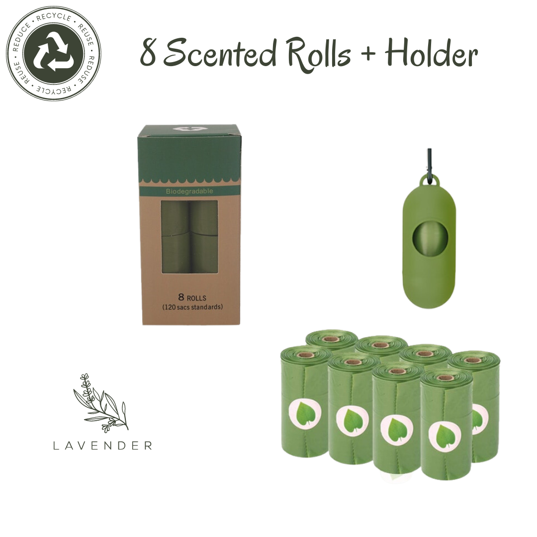 EcoCare Pet Waste Solution