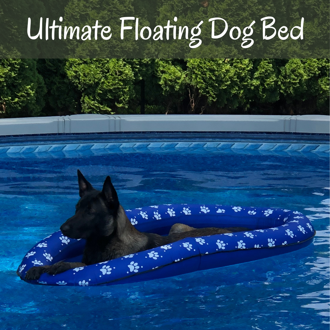 Ultimate Floating Dog Bed