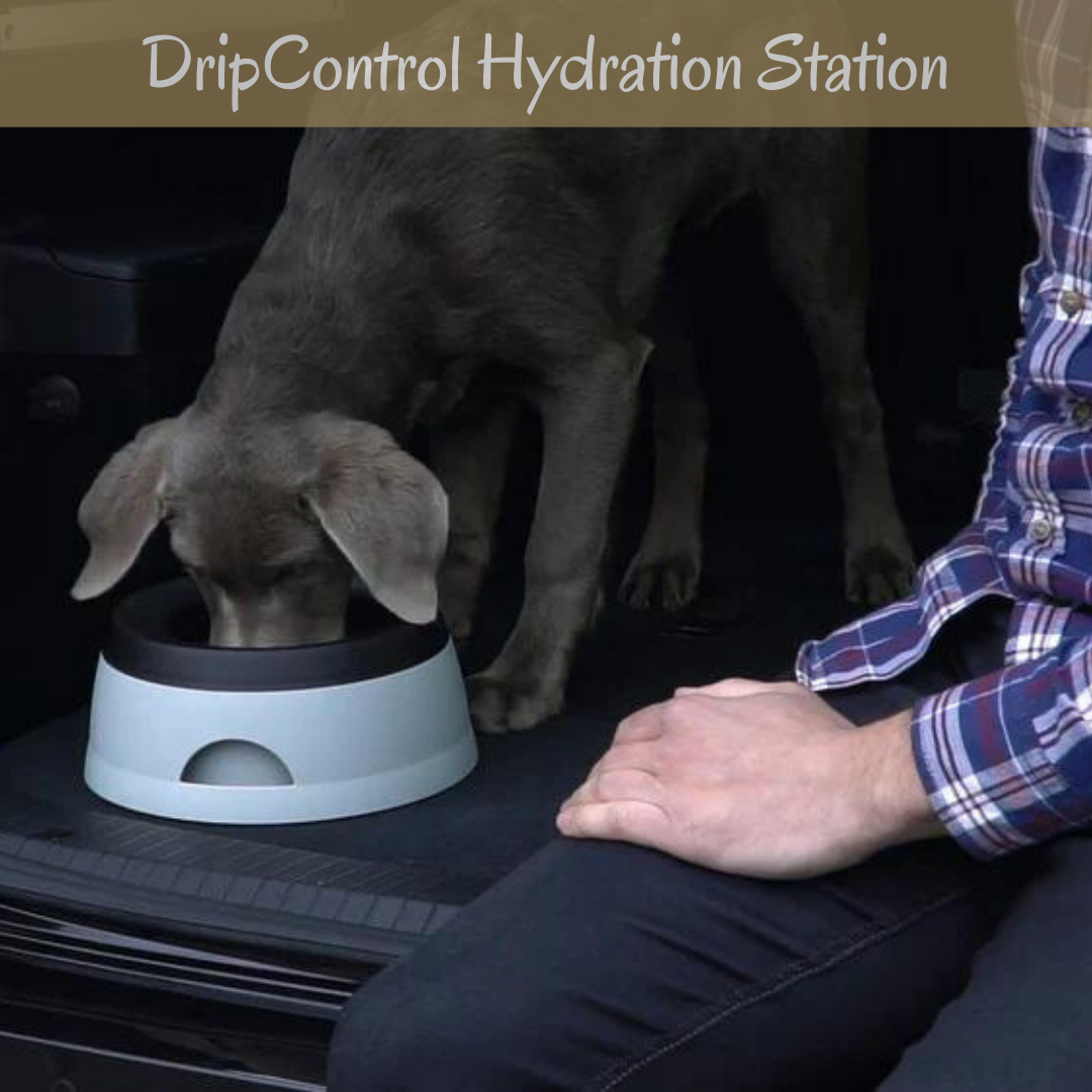 DripControl Hydration Station