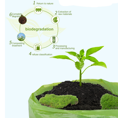 EcoCare Pet Waste Solution