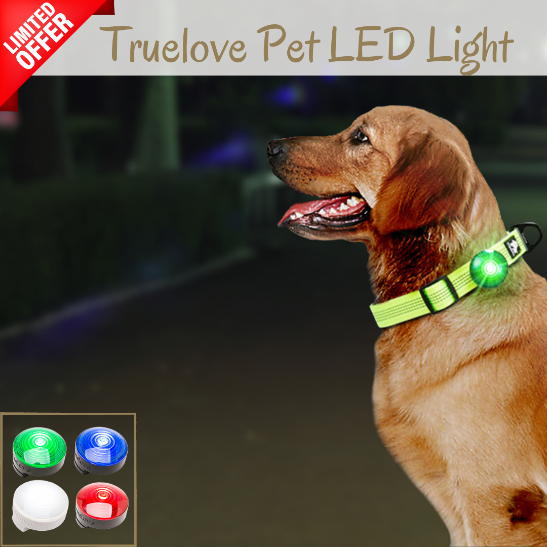 Truelove Pet LED Light