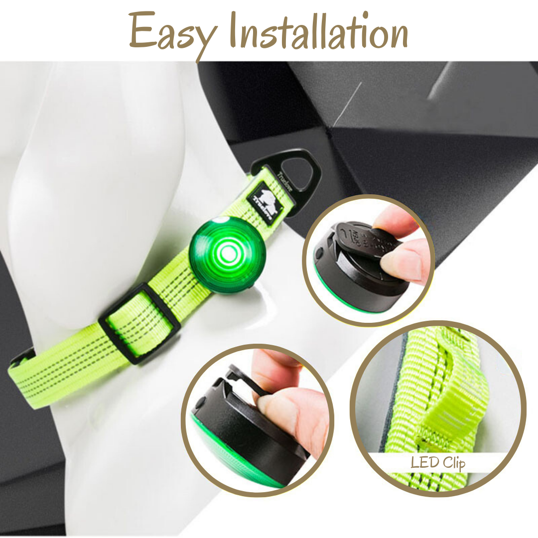 Truelove Pet LED Light