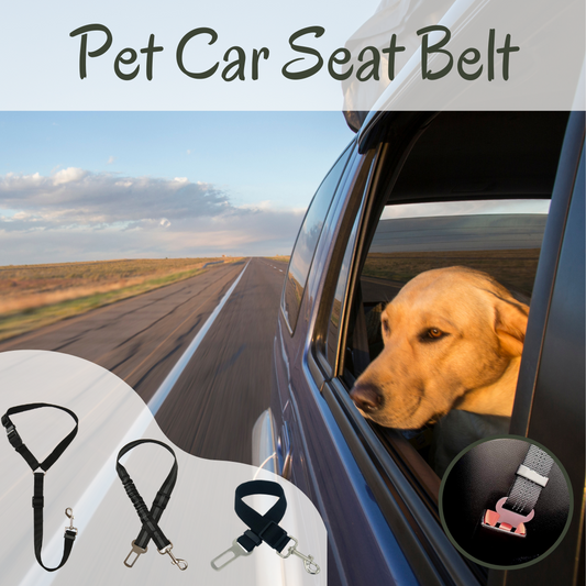 Pet Car Seat Belt